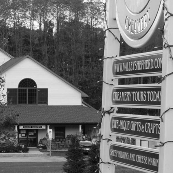 Valley Shepherd Creamery 5
